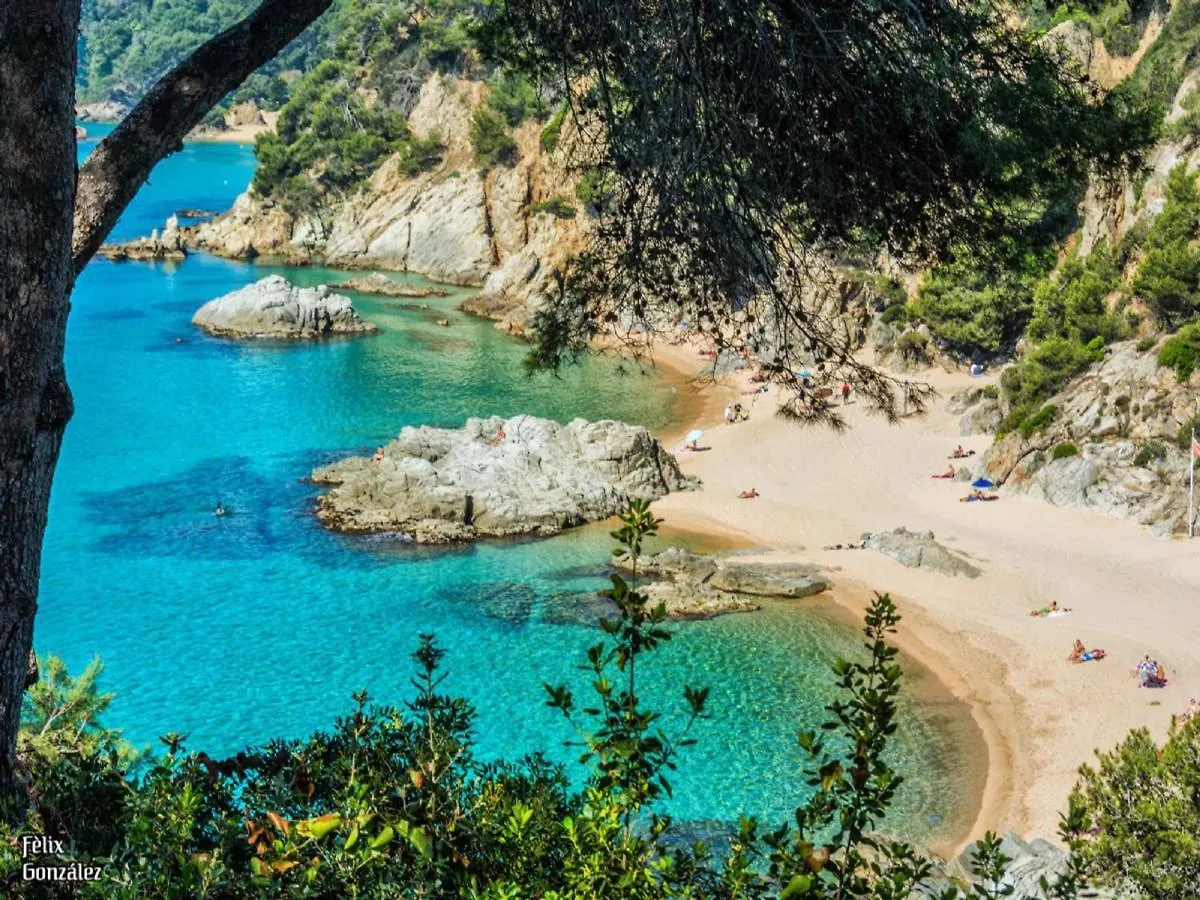 Villa Palm Beach Lux, Ideal Grupos Con Aireacondicionado Lloret de Mar